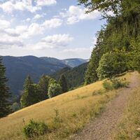 Auf dem Zauberweg