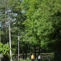Chemin de Saint-Jacques-de-Compostelle@medoc-atlantique-tourisme_0411