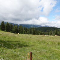 Almen auf der Kampalpe