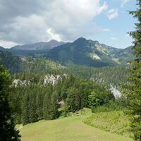 kurz vor der Fuchsalm