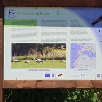 Infotafel "Ein Storch auf Reisen" am Storchenwanderweg Winden