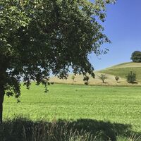 Blick auf den Vogelherd-Hügel beim Sonnenhof