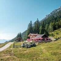 Scheffau_Steiner-Hochalm_Wilder Kaiser
