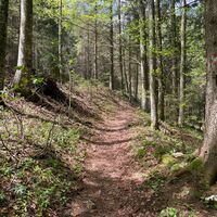 Pfannstein-Trail - Micheldorf