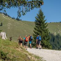 Tiroler Steinöl® Wanderung - bergauf in Richtung Gröben Alm