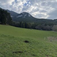 Rückblick: Jubiläumsaussicht/Hochberg, grasende Pferde samt dazugehörigem Apfelhaufen (v.o.n.u.)