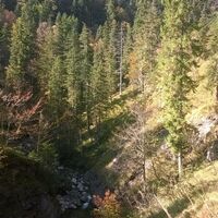 Schliffbach