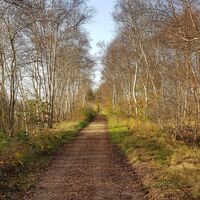 Dänikhorster Moor
