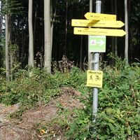 in der Kehre rechts weg Stauden-/Quellenweg
