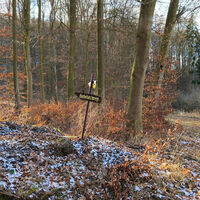 Harler Kirchblickweg