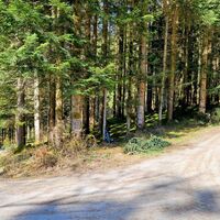 11.4 km Raddepot