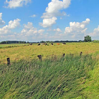 Wümmewiesen an der Nordroute des Wümme-Radweges