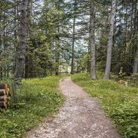 Wanderweg hinunter zum Gasthaus Dachsteinblick