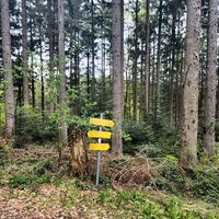 Wanderung Oberwarngau Taubenberg