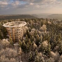 Baumwipfelpfad Schwarzwald im Winter