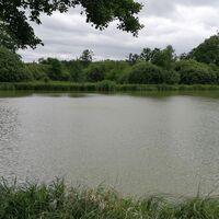 Im Teichgebiet der Wolche bei Krölpa