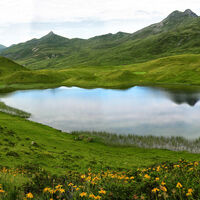 Der Grünsee ist ein wahres Schmuckstück unter den Bergseen