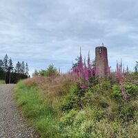 Wegemarkierung auf der Kophelle