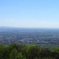 auf der Klesheimwarte