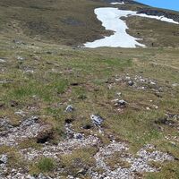 Am Plateau
