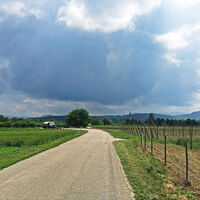 Radweg nach Oberkirch