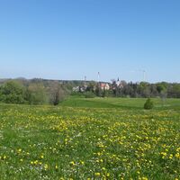Ollarzried