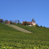 Erligheim - Michaelsberg
