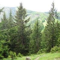Aufstieg zum Höger