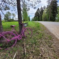 In Äitsaaressa kann man dieses pinke Fahrrad und viele andere Fahrräder am Straßenrand entdecken
