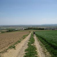 Sieghartskirchen - Trasdorf