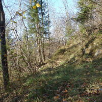 Aufstieg zum Falkenstein