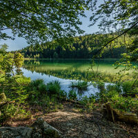 Inzell sommer natur _8