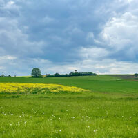 Aussicht Richtung Rappershausen