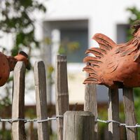 Zaundeko in Bellersen