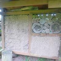 22-Naturerlebnisstätte Wasserhaus Bambergerhof - Insektenhotel