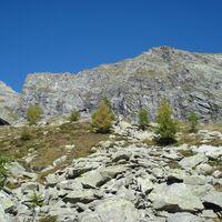 Panorama Alpe Fiorasca