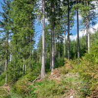Historische Sportstätten Wanderung bei Oberhof