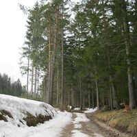 Raach a. Hochgeb. - Semmering