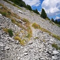 Sentiero Batterie del Petit Vallon