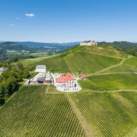 Burg/Weingut Taggenbrunn