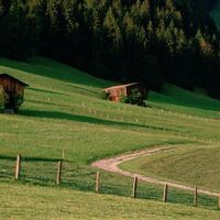 Heutennen und Bergmähder