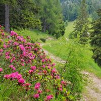 Kurz vor Cugola Hütte
