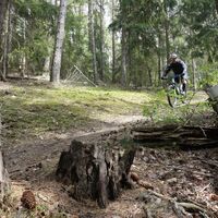 Trail nach Knobelsdorf