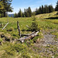 11.3 km Tränke