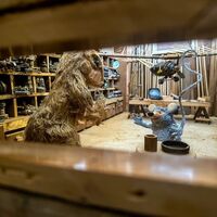 Der Murmeltiereweg ©Archivio Funivia Ciampac e Contrin S.p.A.