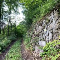 Wald
