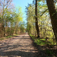 Schöpfungsweg zwischen Ebstorf und Melzingen – Heideregion Uelzen