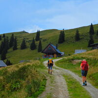 Niederalpl - Hohe Veitsch - Seewiesen