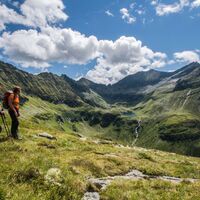 Blick zum Waldhorn