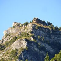 Le naxard couché